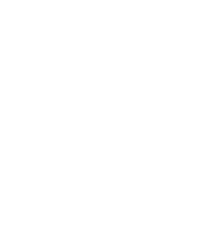 PizzeriaSalvy